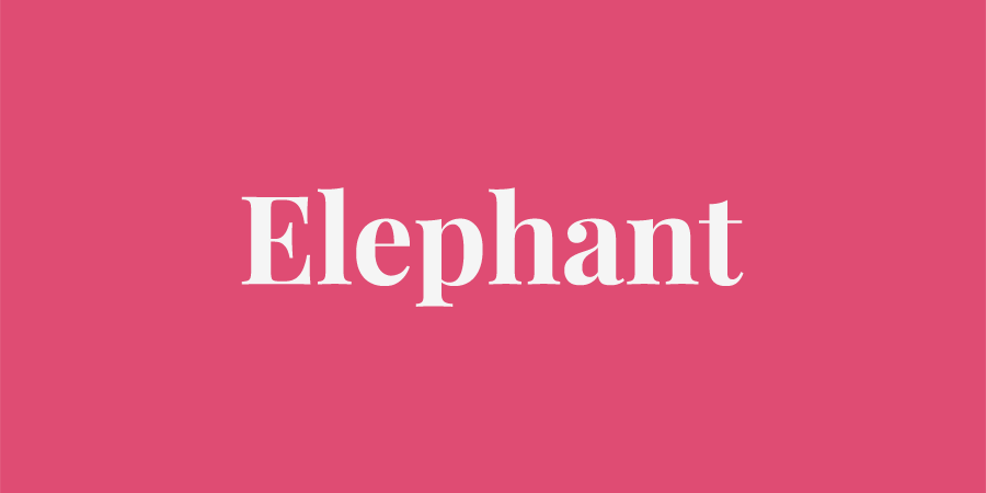 'Elephant' Flash written by David Allain